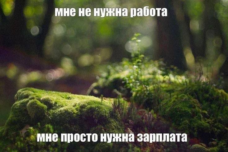Товар 2